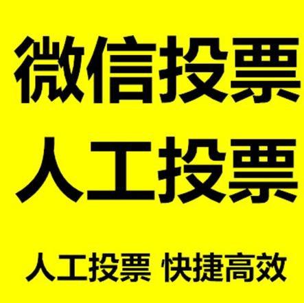 吕梁市投票活动拉票能被查出来吗？如何操作能不被发现？